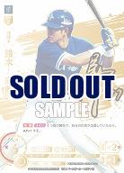 ※秋葉原店併用商品 鈴木 尚典(横浜DeNAベイスターズ)(LG+) 【TBP01-DB04LG+】
